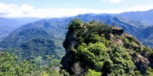 view from wuliaojian